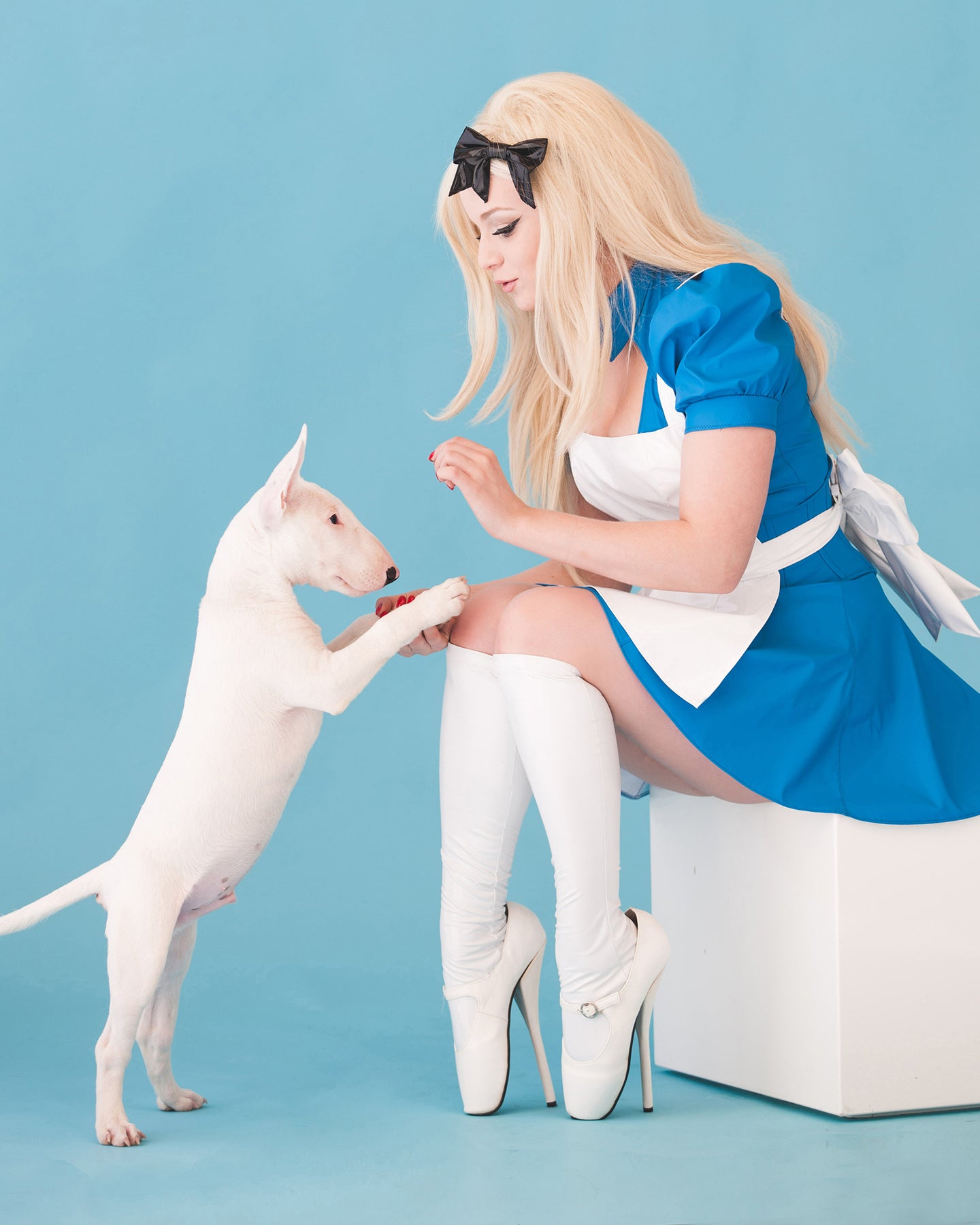 Artifice Products - PVC Alice in Wonderland Costume – Artifice Clothing