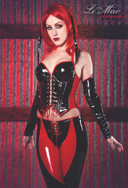 Bloodrayne cosplay PVC Costume